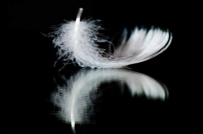 Goddess Grace – Embodiment of Divine Flow, Celestial Mercy, and Sacred Stillness