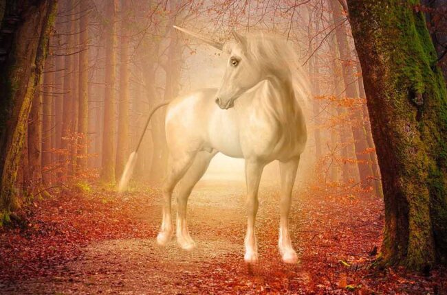 Unicorns – Beings of Purity, Magic, and Divine Grace