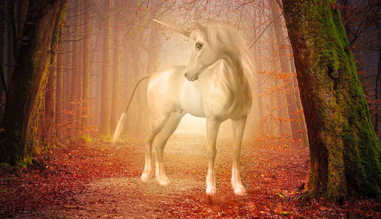 Unicorns – Beings of Purity, Magic, and Divine Grace