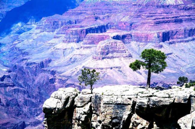 What is the Order of Melchizedek